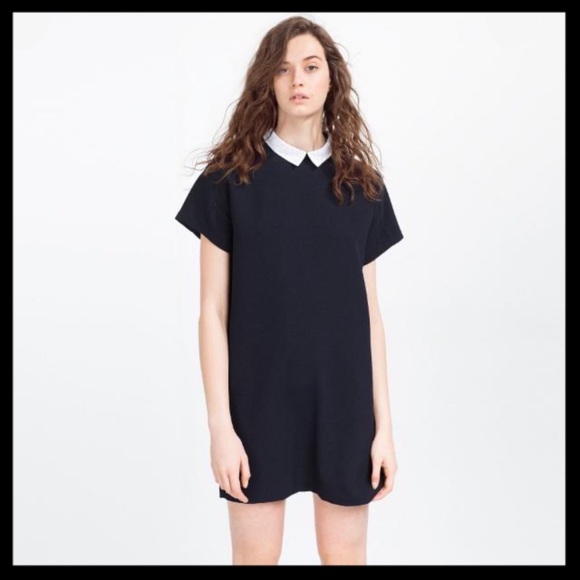 Zara Dresses & Skirts - Zara Woman Collared Shift Dress